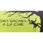 logo des racines à la cime